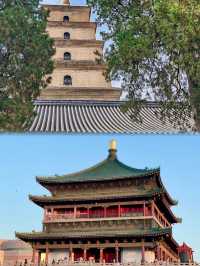本以為洛陽已經很美了，直到我去了西安才知道……