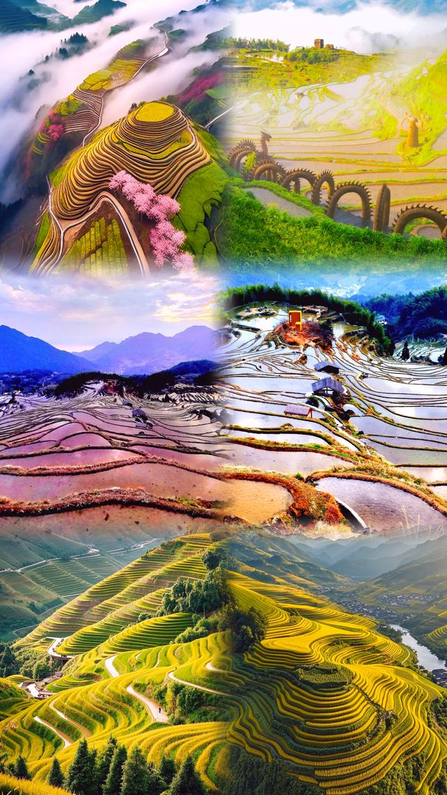 《雲和梯田：被「天神指紋」鎖住的千年秘境》