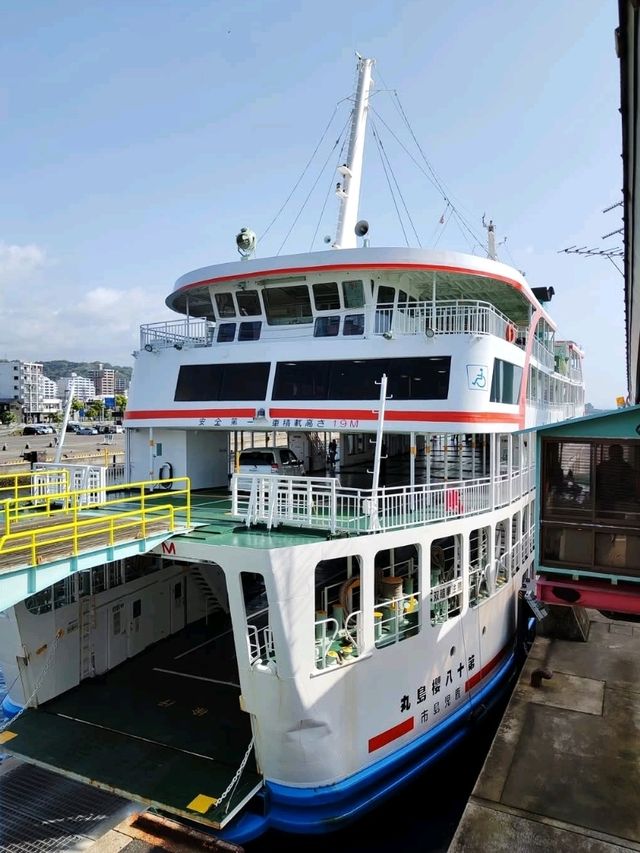 壯麗的櫻島