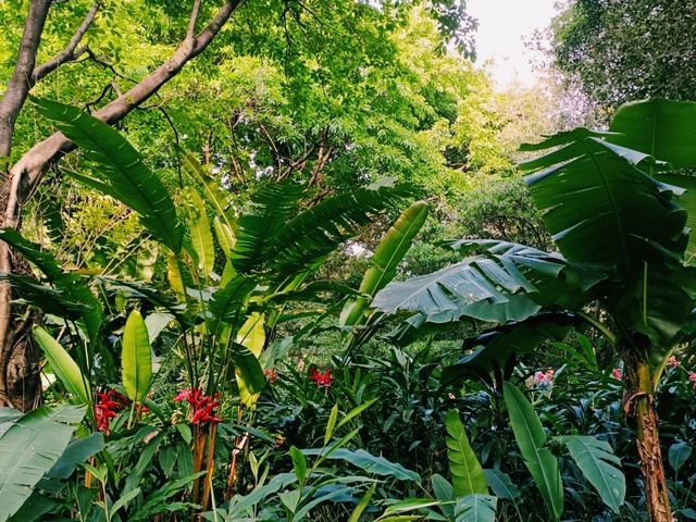 Zhujiang Park: A Green Oasis of Joyfull Time in Guangzhou