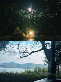 涵田半山溫泉 風景絕絕子