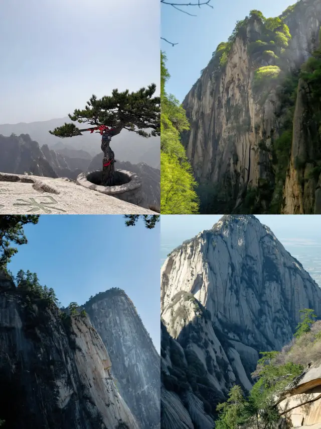 ยอดเขาตี 3 ที่อัดแน่นไปด้วยคนหนุ่มสาว ซ่อนอะไรไว้?