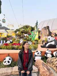 香港海洋公園超全遊玩攻略，沉浸式體驗！！
