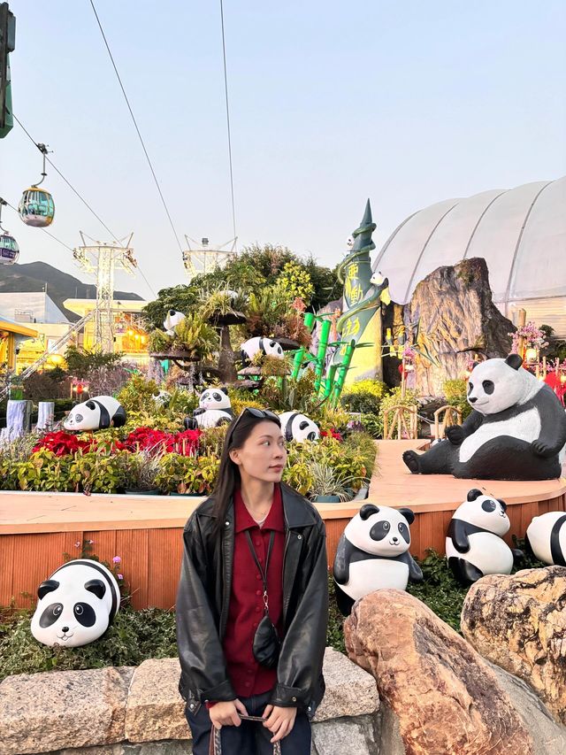 香港海洋公園超全遊玩攻略，沉浸式體驗！！