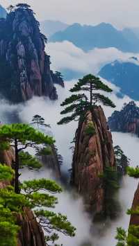黃山：一場鐫刻在靈魂深處的綺夢之旅