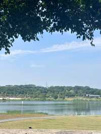 石岩湖濕地公園 | 環湖徒步騎行天花板