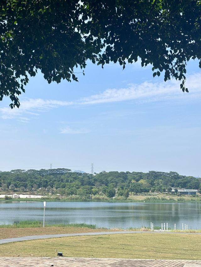 石岩湖濕地公園 | 環湖徒步騎行天花板