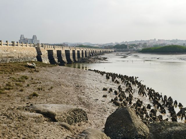 中國四大名橋之一｜洛陽橋（3012）