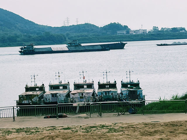 廣東省肇慶市著名森林公園：羚羊峽古棧道森林公園，適合觀光旅遊、度假休閒等！