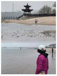 【河北秦皇島～北戴河老虎石海上公園】