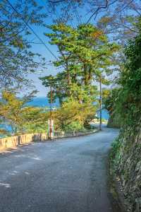 日本伊豆預計今年夏天會成為爆紅的旅遊熱點