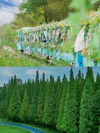 我宣布江蘇宜興就是反向旅行天花板