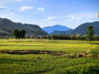 推窗見山，這個民宿我能住一輩子