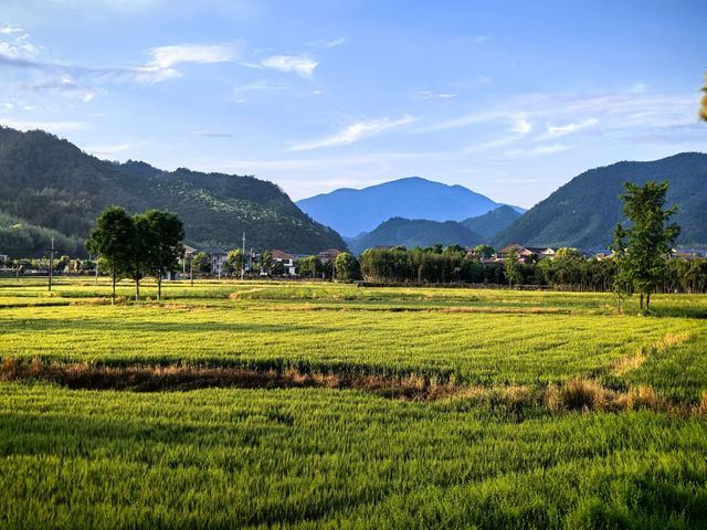 推窗見山，這個民宿我能住一輩子