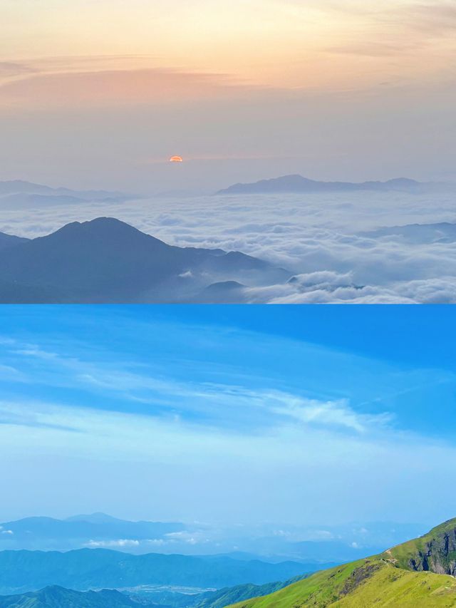 武功山的草甸點解咁綠？難道係外星人種嘅？