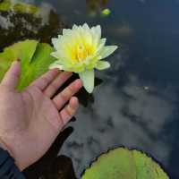 探索合肥「天然氧吧」，邂逅城市裡的綠野仙蹤