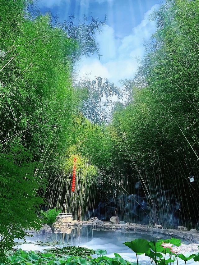 林深處起霧，竹林配古屋