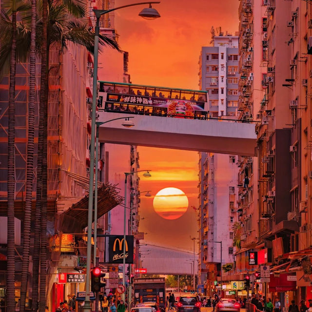 香港攝影師私藏！10大出片位+Citywalk路線大揭秘📸