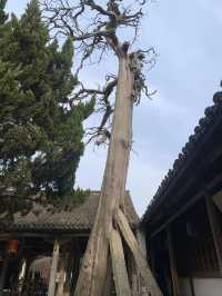 名勝中國•鄭宅 在中國的歷史上，有一個家族歷時長達三百五十多年，歷經宋、元、明三代，十五世同居，同財