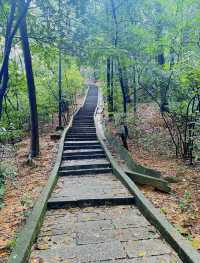 東莞｜旗峰公園｜城市綠肺中的祈福聖境與自然秘境
