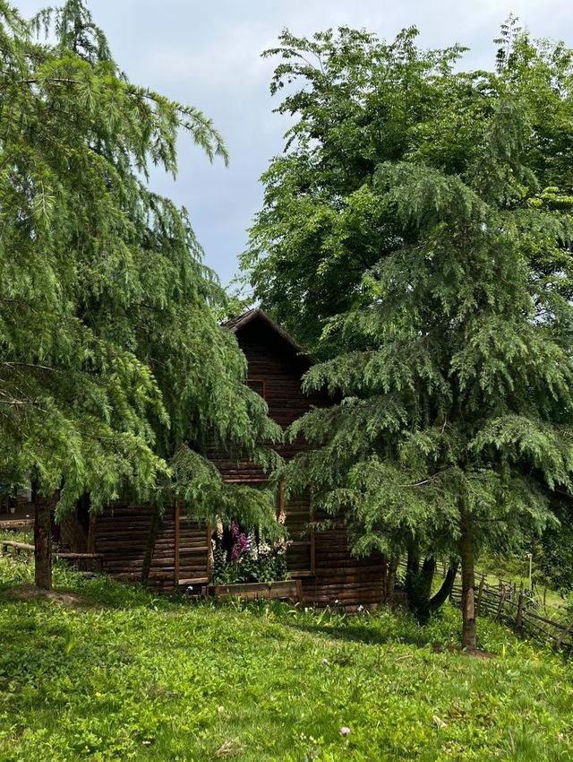 住進會呼吸嘅藝術山谷，畀自然治癒嘅24小時！