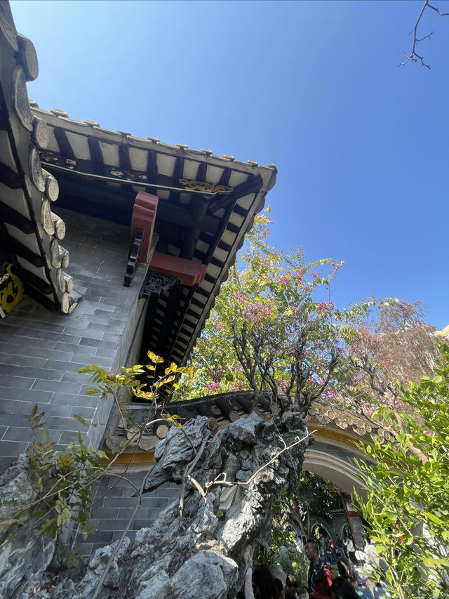 ## 清暉園筆記：在時光皺褶裡尋一片清涼