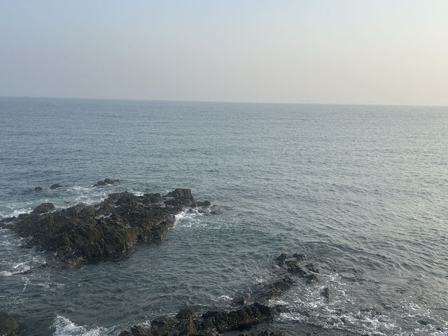 跨越山海，終至大連，海風詩意正濃！