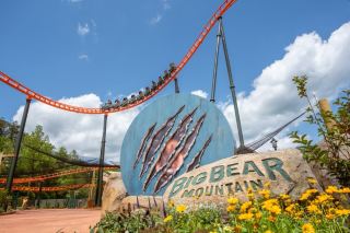 【New Attraction】Dollywood