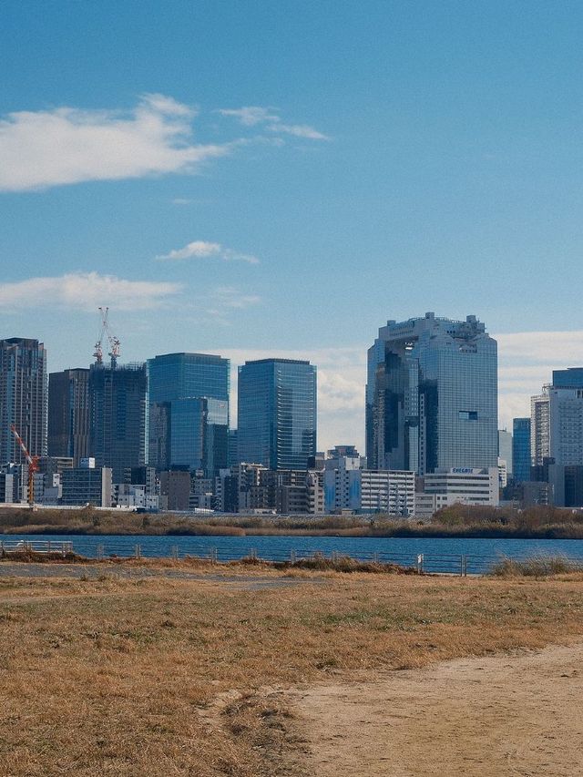 日本6日遊｜小長假超全遊玩攻略