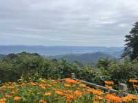 Magical 4 days in Zhangjiajie Park 