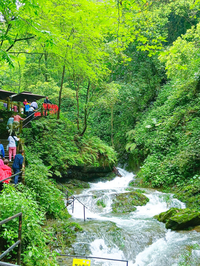 桂林5日親子遊  輕鬆玩轉山水間