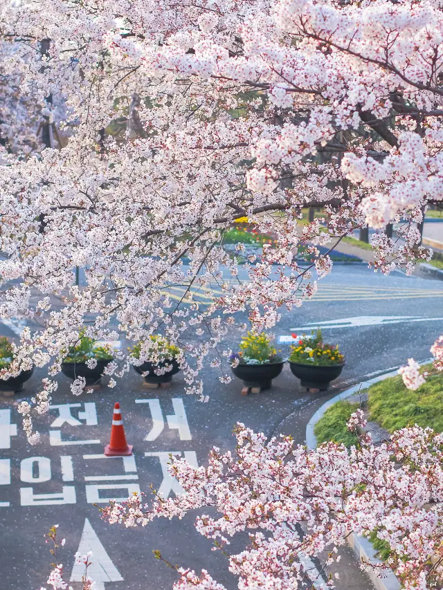 관광객을 피하는, 서울의 알려지지 않은 10가지 독특한 즐길 거리!