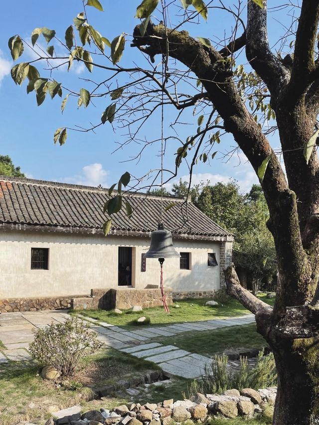隱手竹海，重拾年少記憶｜南京花跡無想山居
