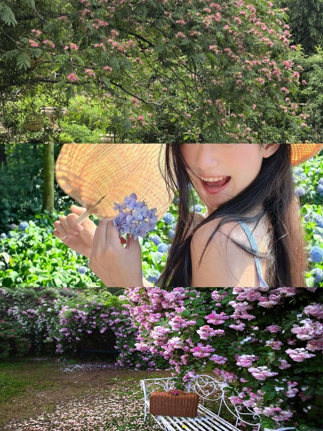 揚州慢活，夏天點可以冇呢片花海呢
