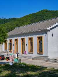 今個夏天，入住自帶5000㎡遊樂場嘅小學校！