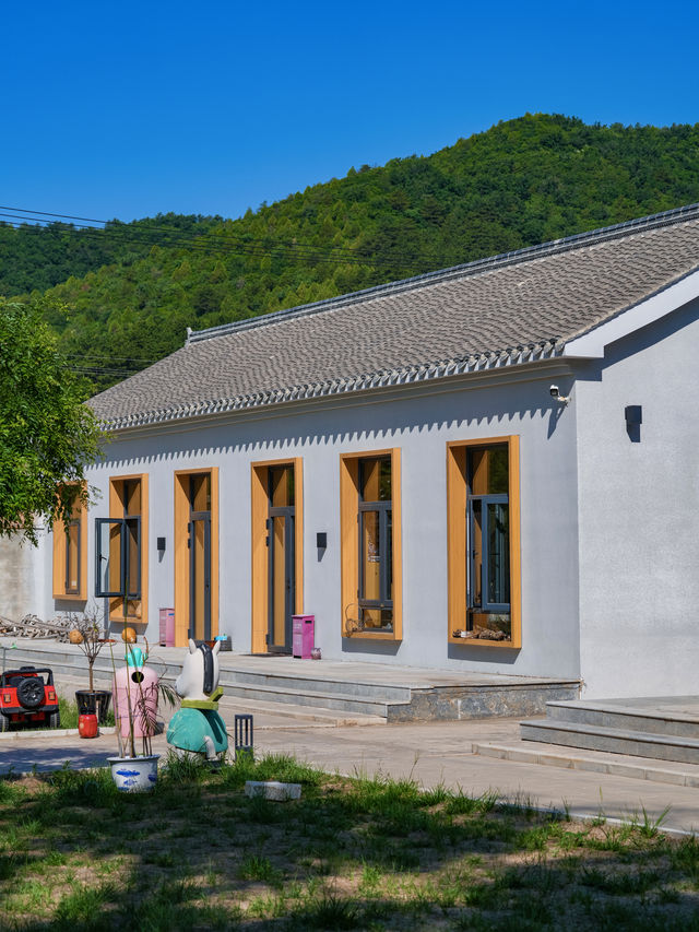 今個夏天，入住自帶5000㎡遊樂場嘅小學校！