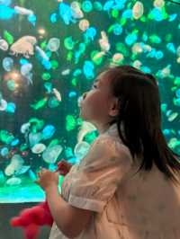 【珠海長隆海洋王國超全遊玩攻略】