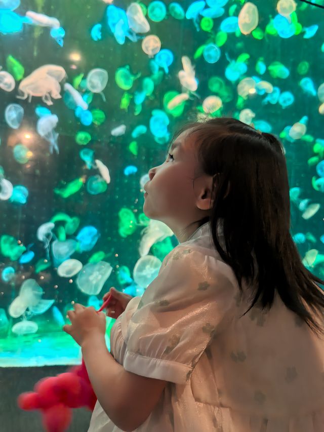 【珠海長隆海洋王國超全遊玩攻略】