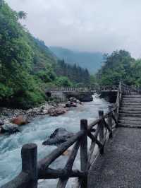 二郎山喇叭河餵鹿睇猴行山攻略，差啲俾馬騮襲擊！