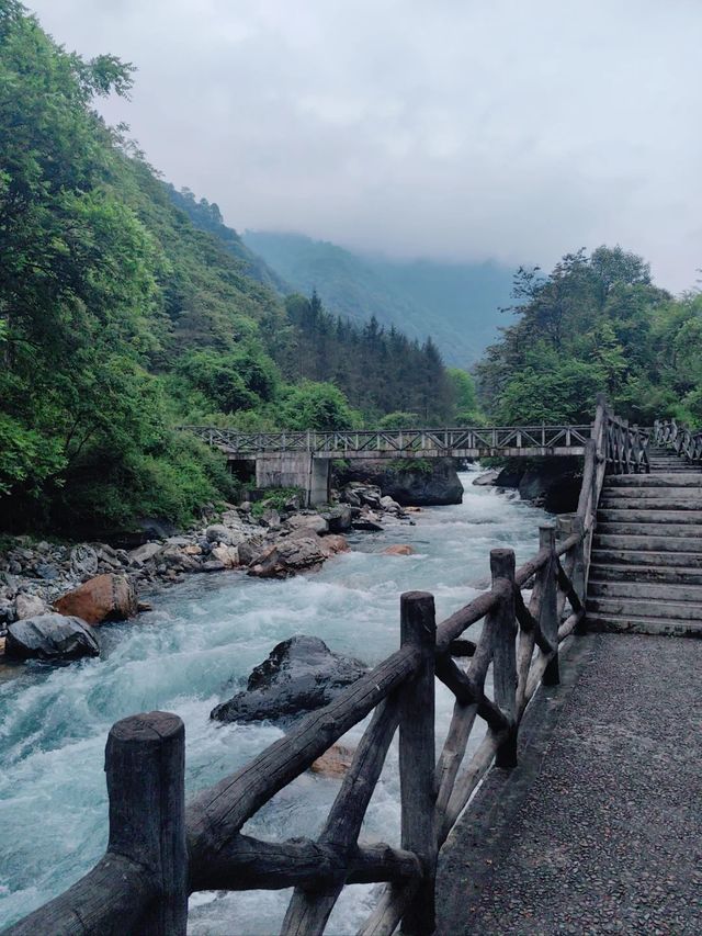 二郎山喇叭河餵鹿睇猴行山攻略，差啲俾馬騮襲擊！
