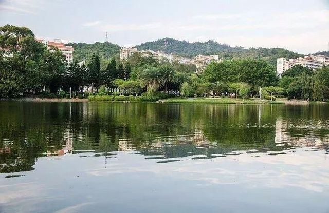 百年風華藏山海，廈大古韻入畫來