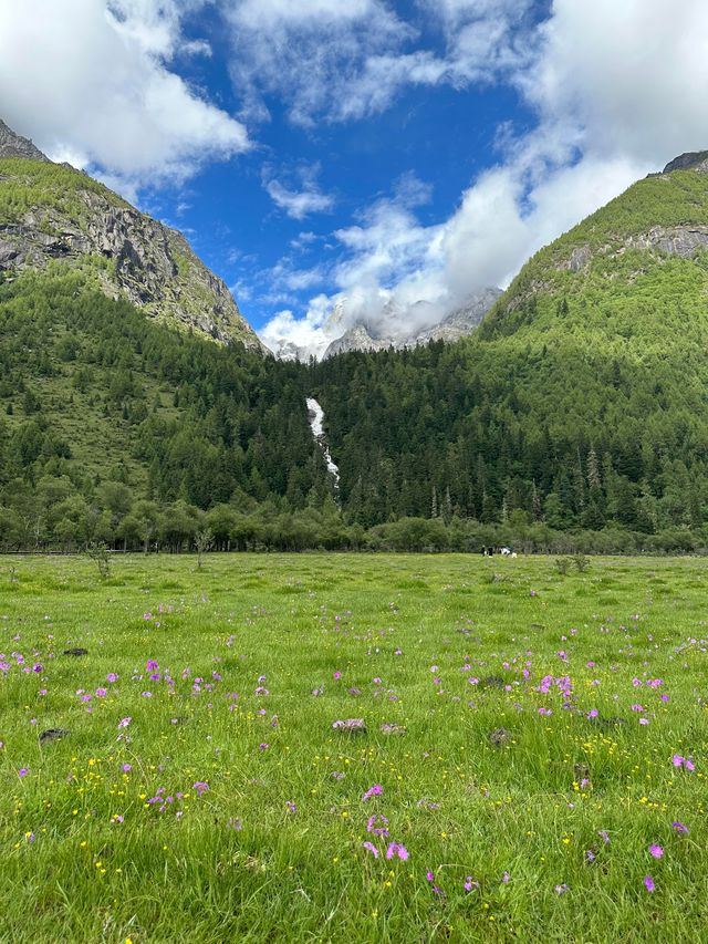 六月份四姑娘山最強攻略，雪山花海一站式全體驗