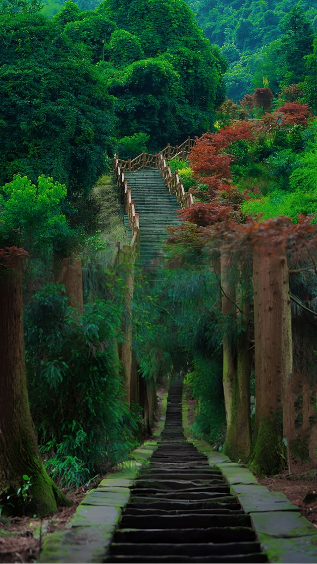 後悔來遲了！！比青城山還美的徒步古道