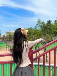 威海西霞口野生動物園真係正到爆！