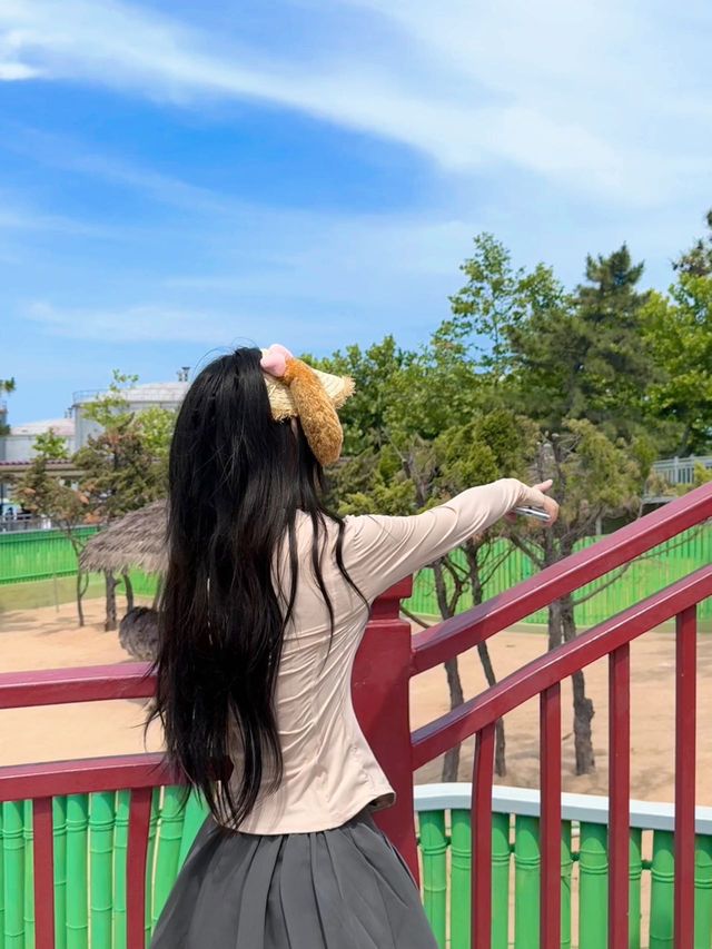 威海西霞口野生動物園真係正到爆！