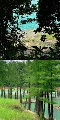中山石寨水庫徒步攻略：夏日裡的「阿勒泰」