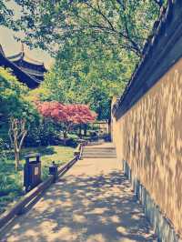 杭州・慧因高麗寺　千年の歴史と美しい庭園を訪ねて​