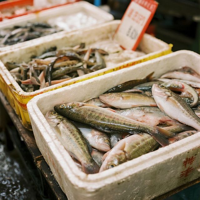 #青島旅遊#@青島海鮮平價暢享攻略