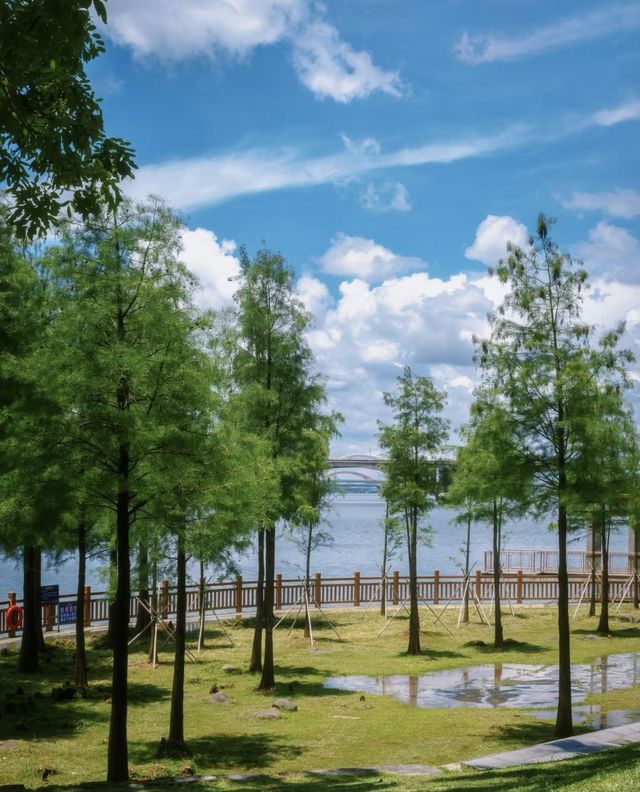 初夏惠州小眾玩法！