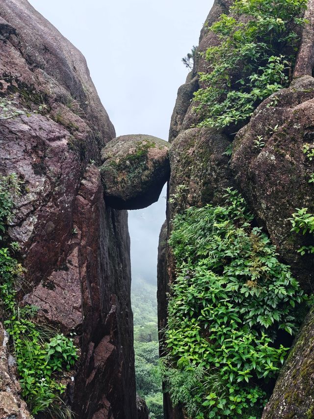 黃山「避雨」實錄：暴雨預警下的驚喜晴日與雲海奇觀